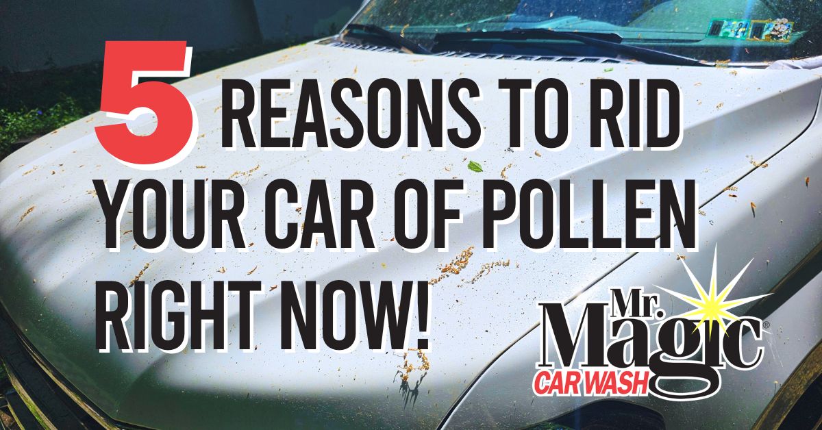 5 Reasons to rid your car of pollen right now