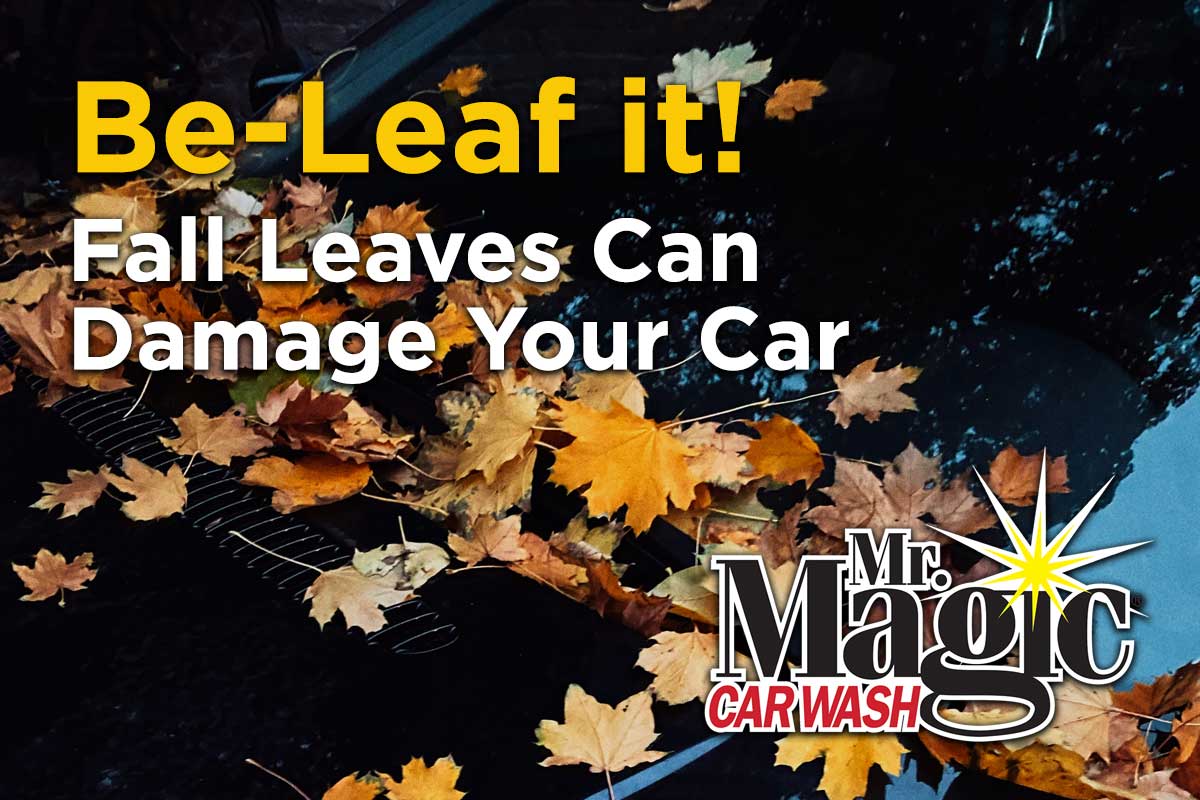 Be-Leaf it! Fall Leaves Can Damage your Car
