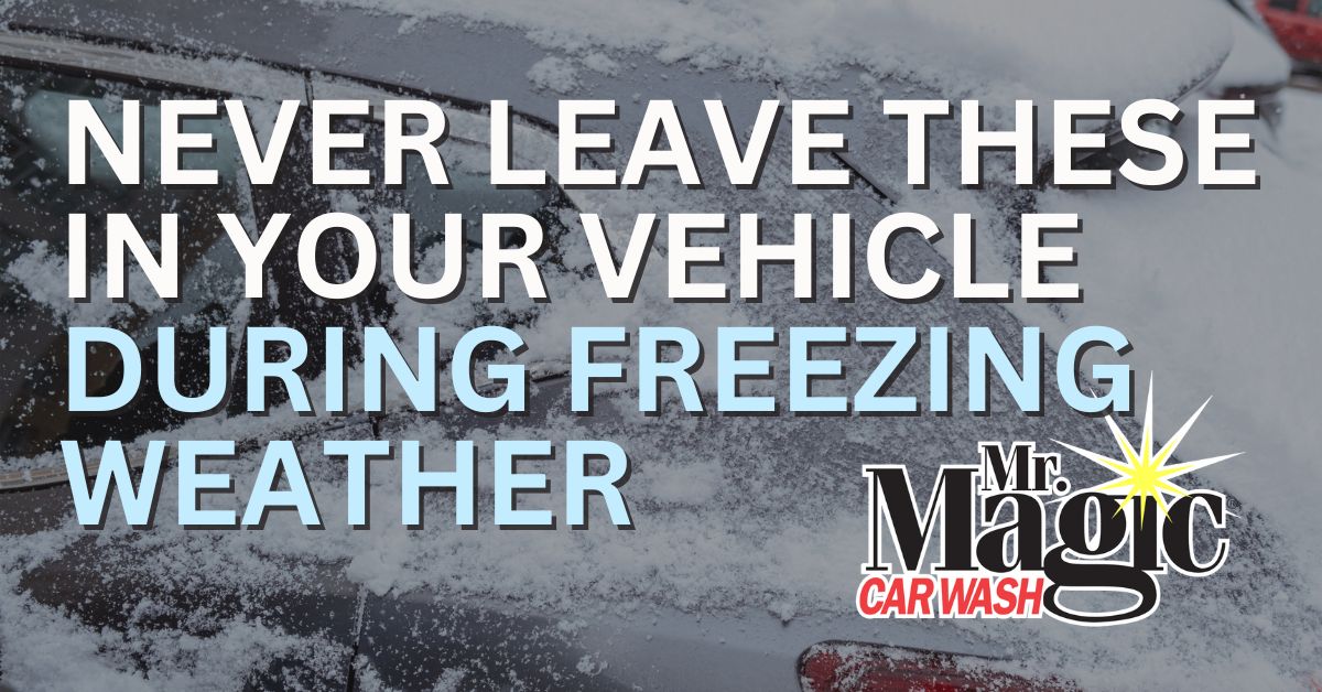 Blog Post - Never Leave these in Your Vehicle During Freezing Weather