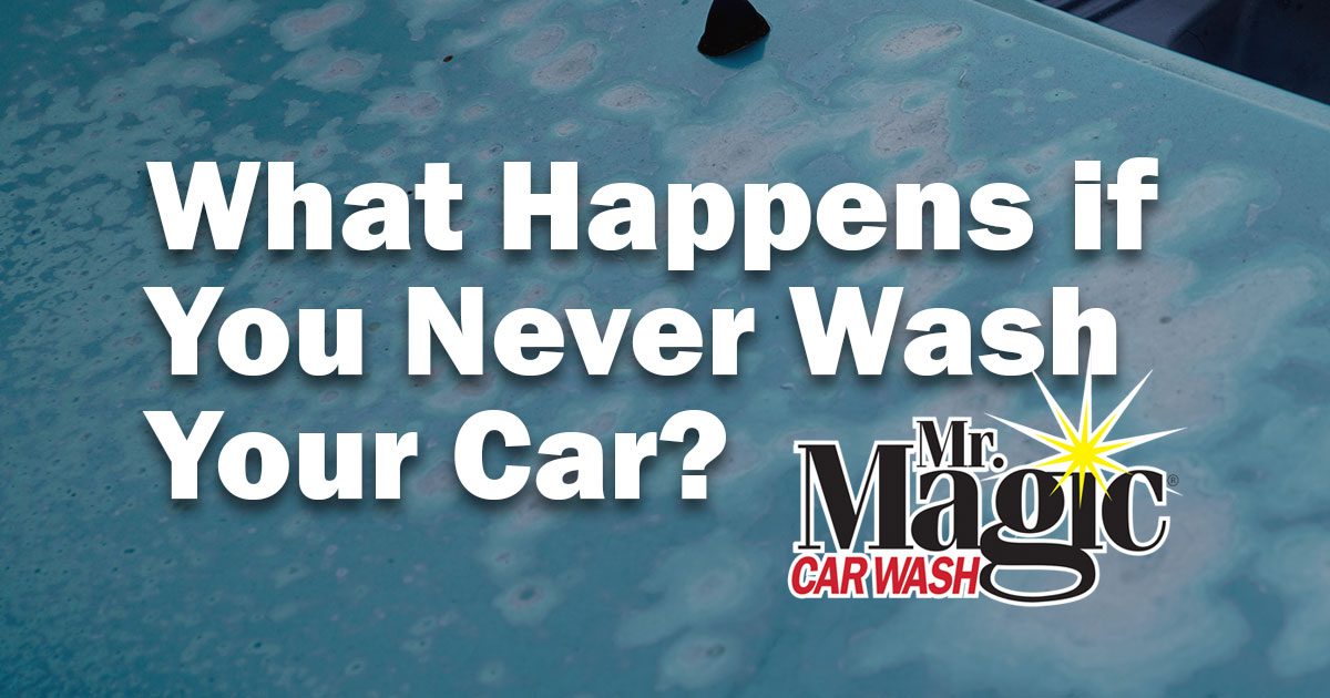 What happens if you never wash your car?